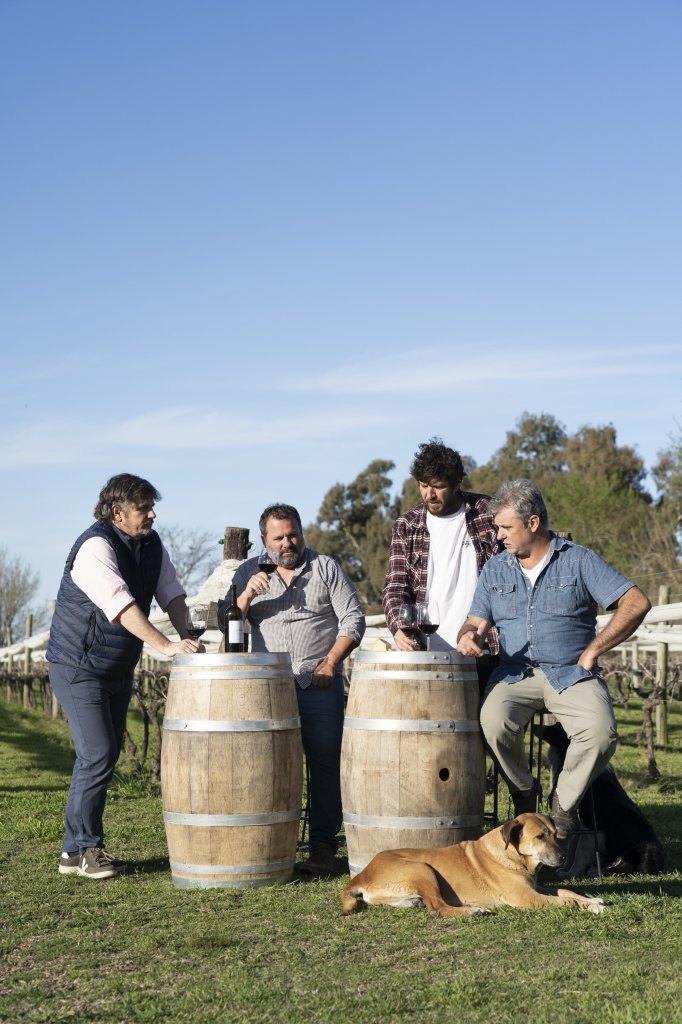 Visita al viñedo Alonso Sáenz