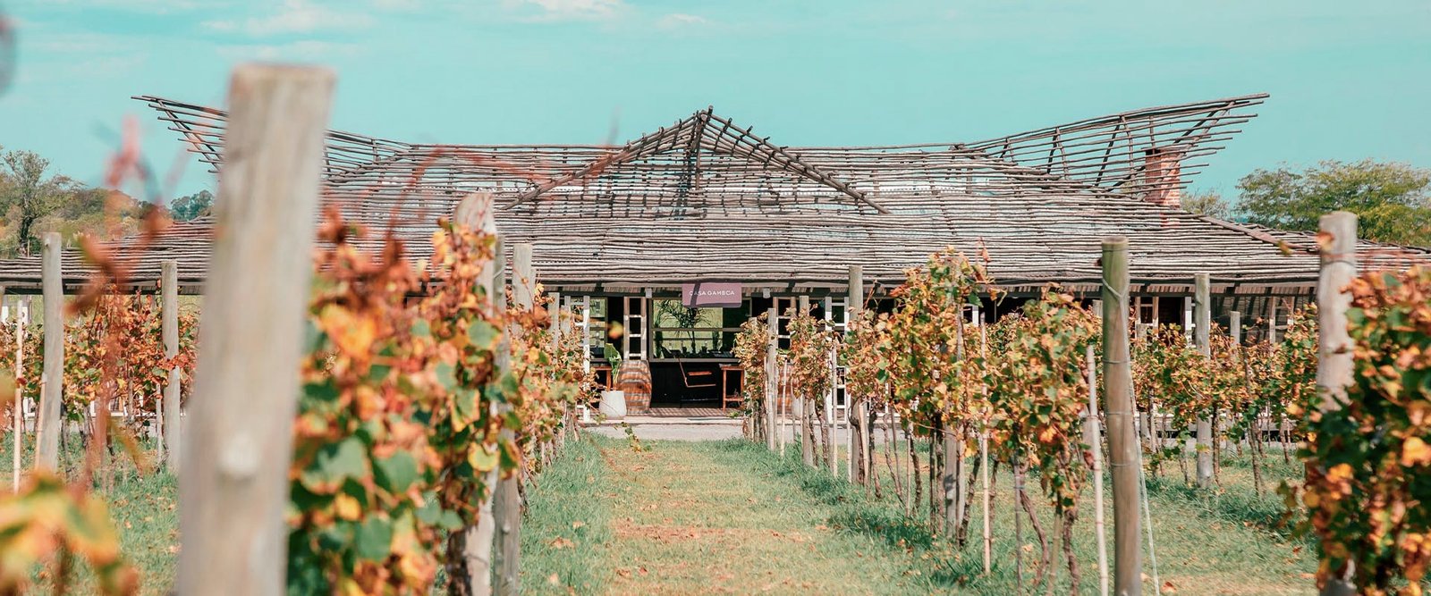 Bodega Al Este