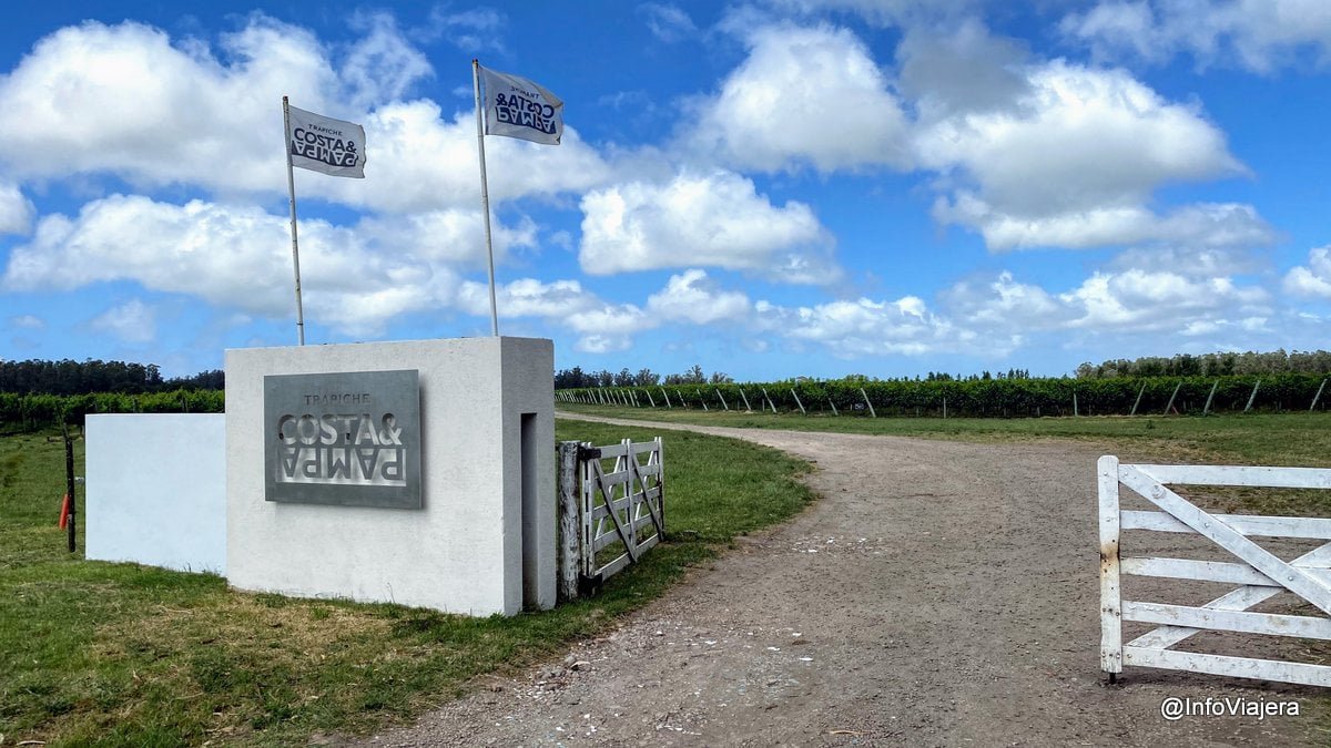 Viñedo de Trapiche Costa & Pampa en Chapadmalal