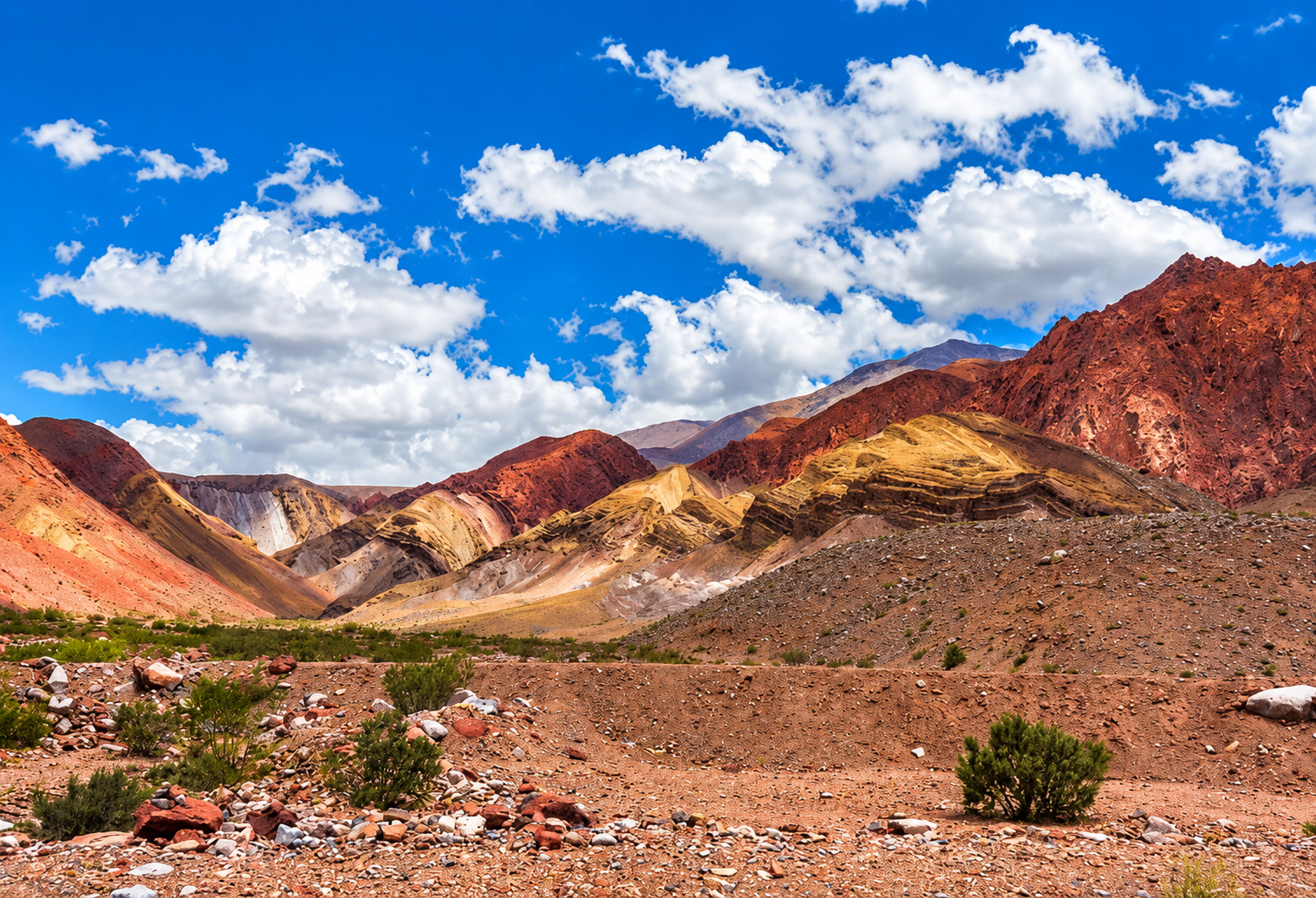 Viñedos y paisajes de Catamarca