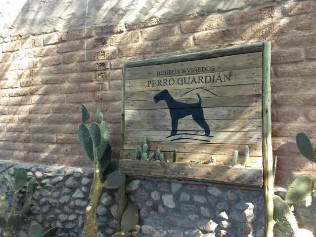 Bodega Perro Guardi&aacute;n