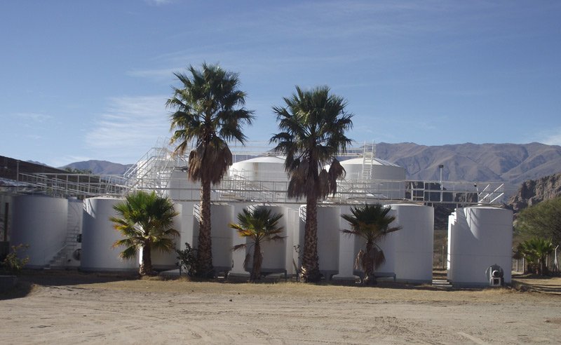 Bodega Prelatura