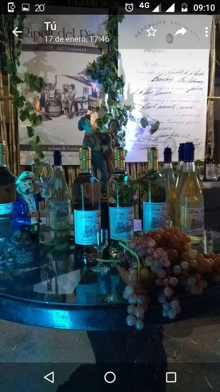 Bodega Ripoll del Pino