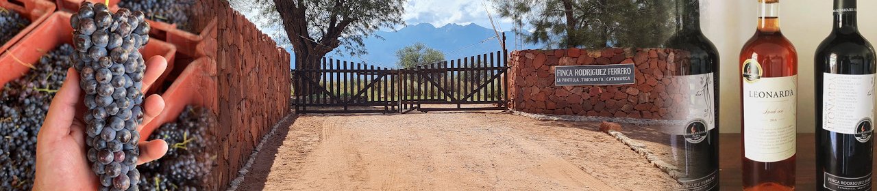 Bodega Rodr&iacute;guez Ferrero &ndash; Leonarda