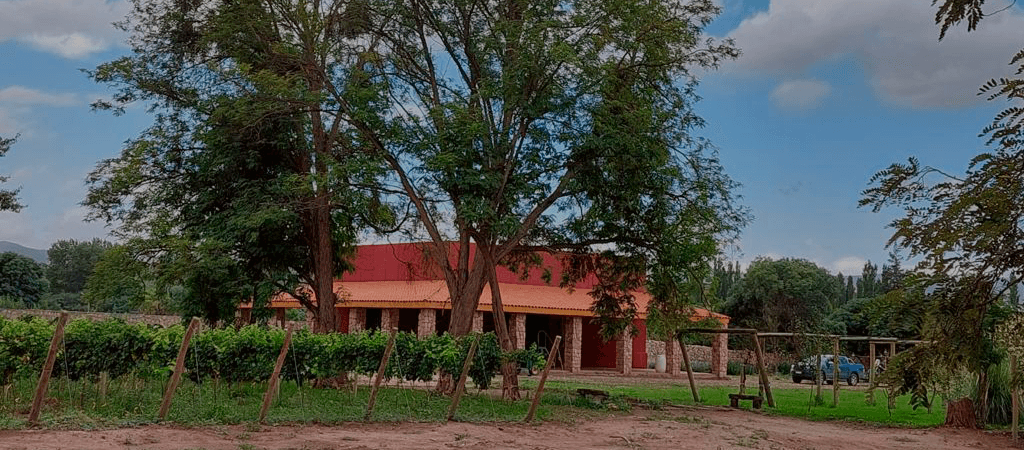 Campo de los Pozuelos – Mena Saravia