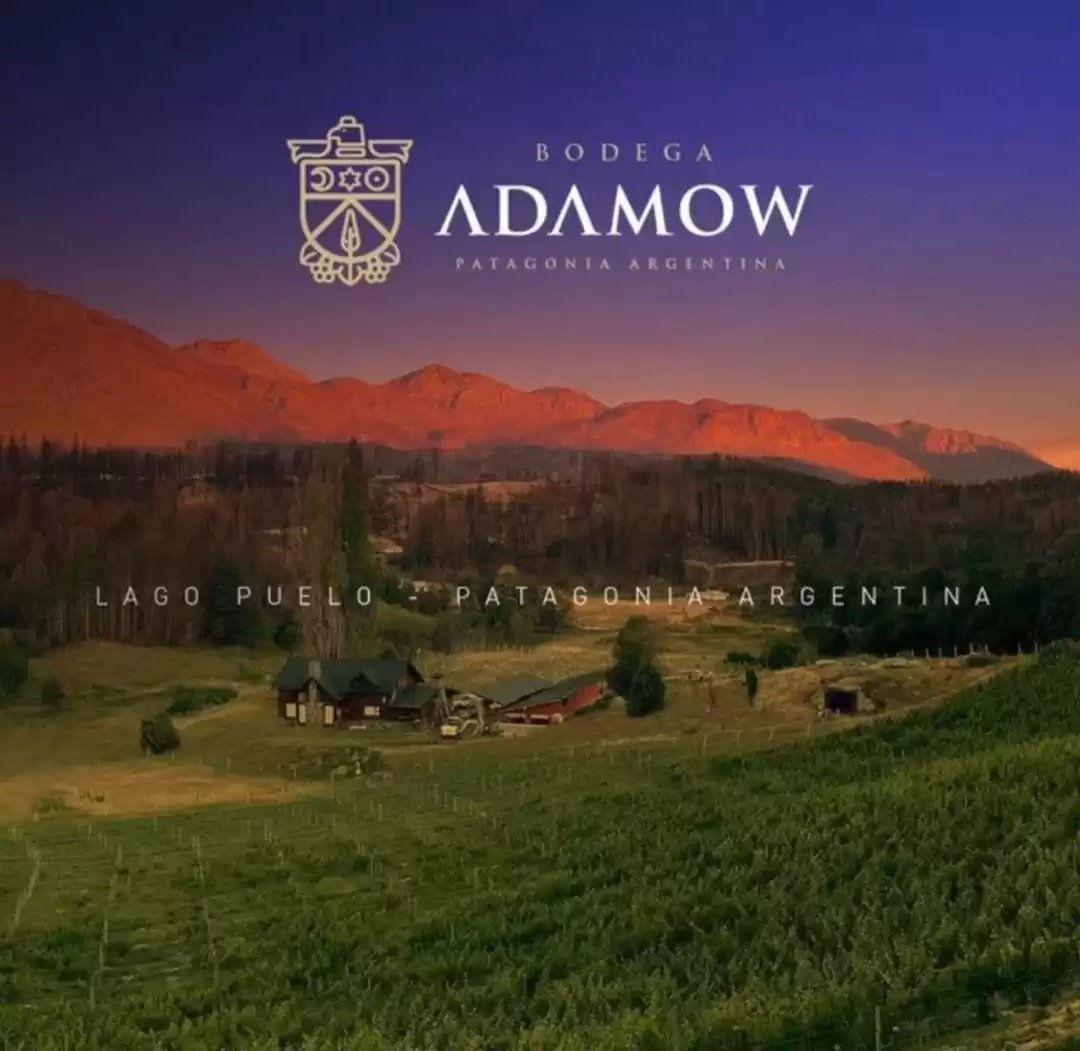 Bodega Adamow