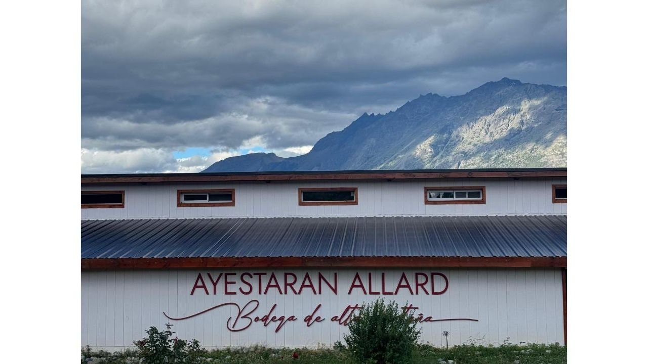 Bodega y Viñedos Ayestarán Allard