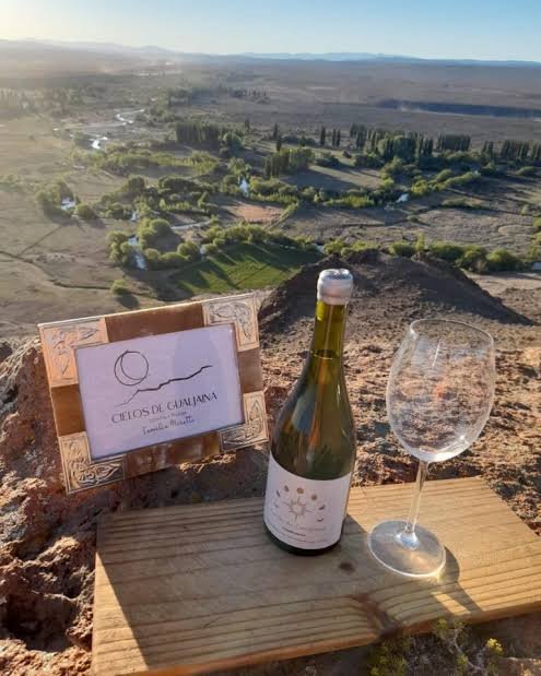 Viñedo Cielo de Gualjaina, Bodega Familia Miretti-Gonzalez