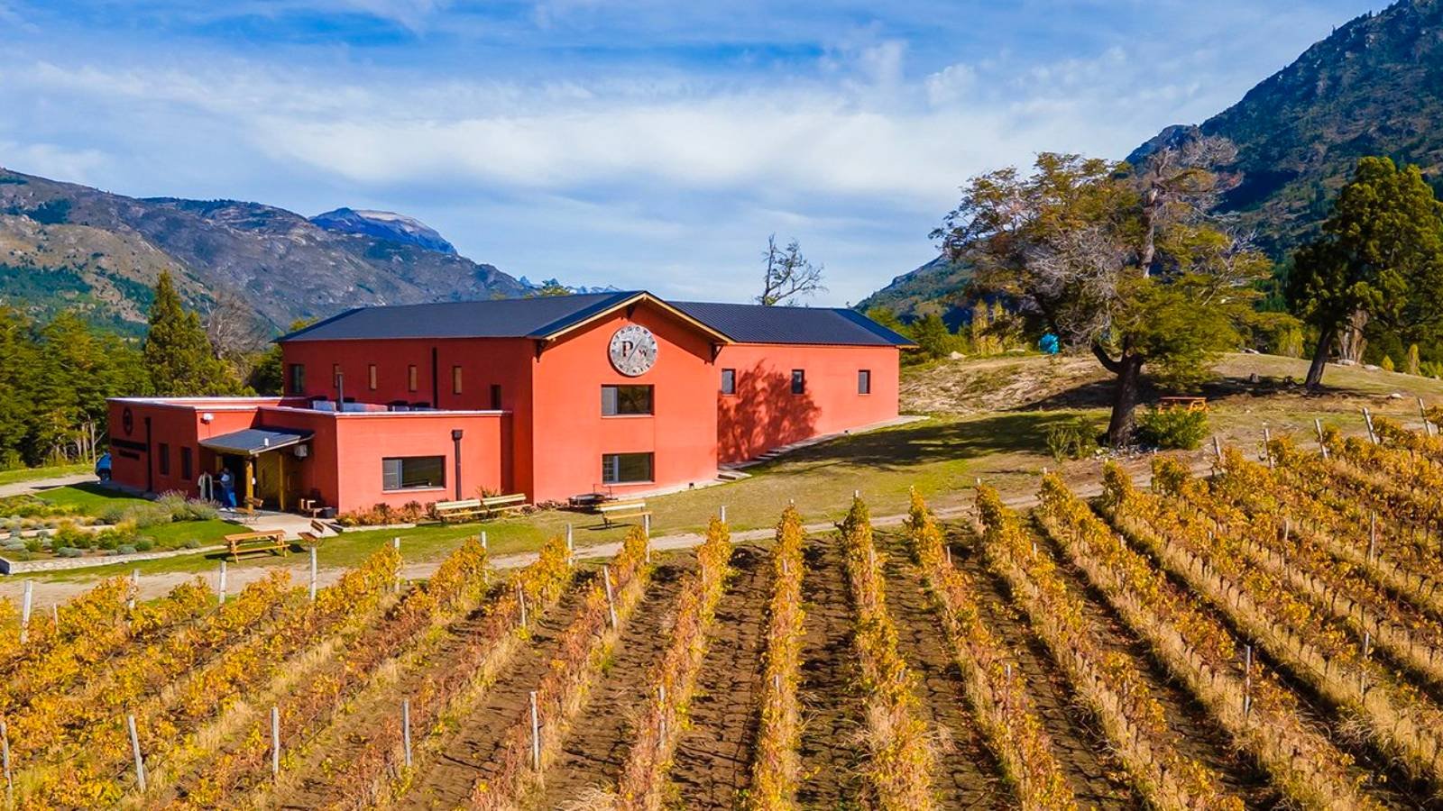 Patagonian Wines