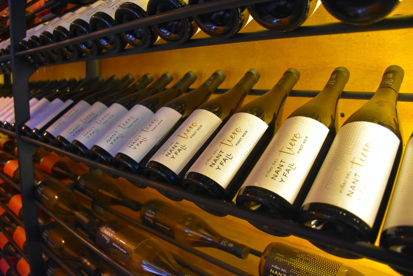 Bodega Viñas del Nant y Fall