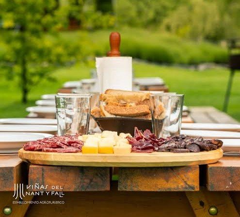 Degustación en Viñas del Nant y Fall