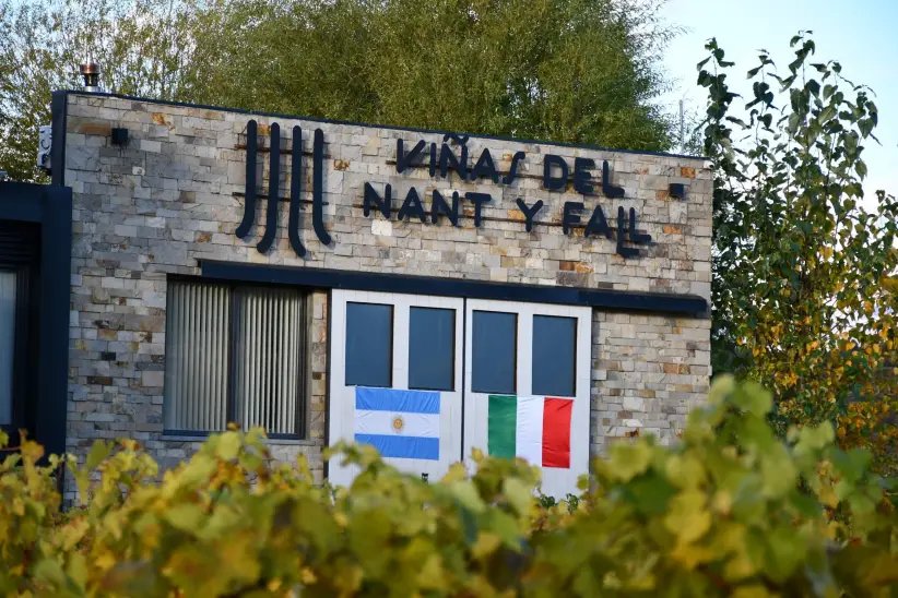 Historia de Viñas del Nant y Fall