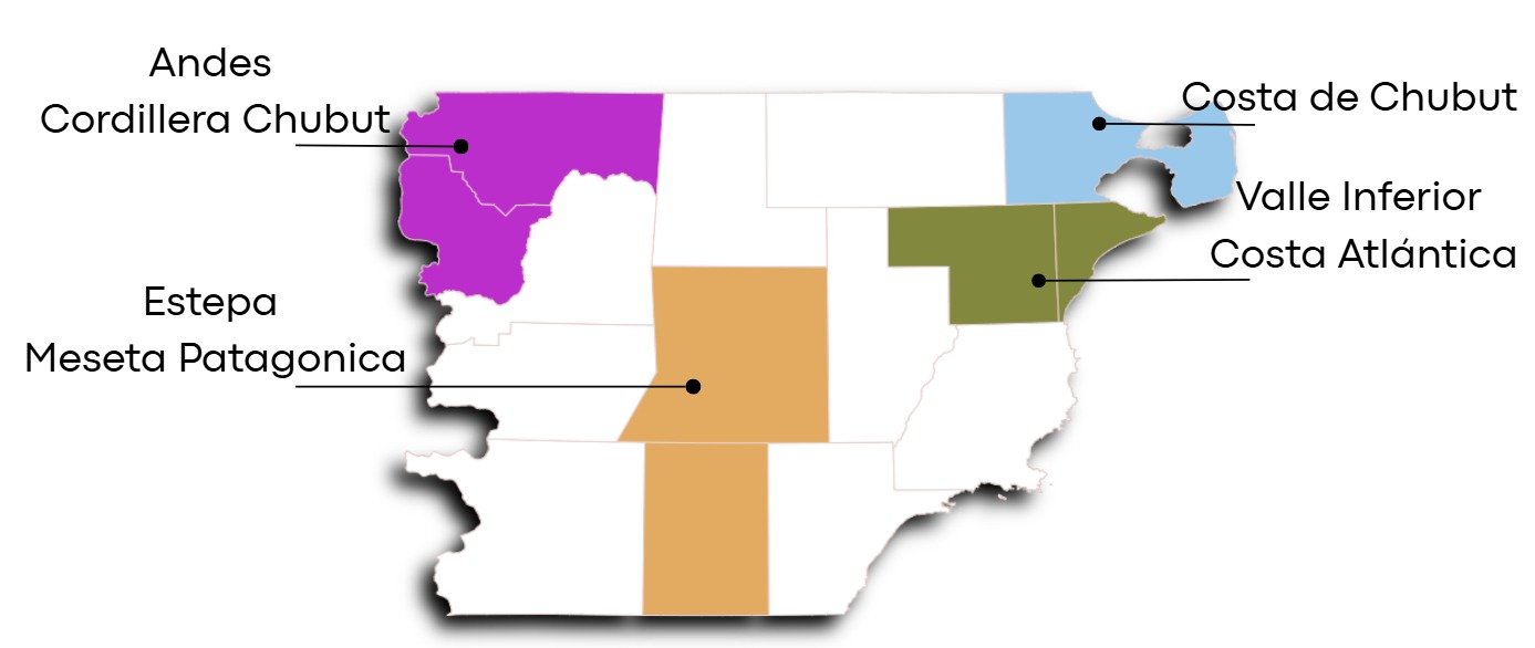 Mapa vitivinícola de Chubut