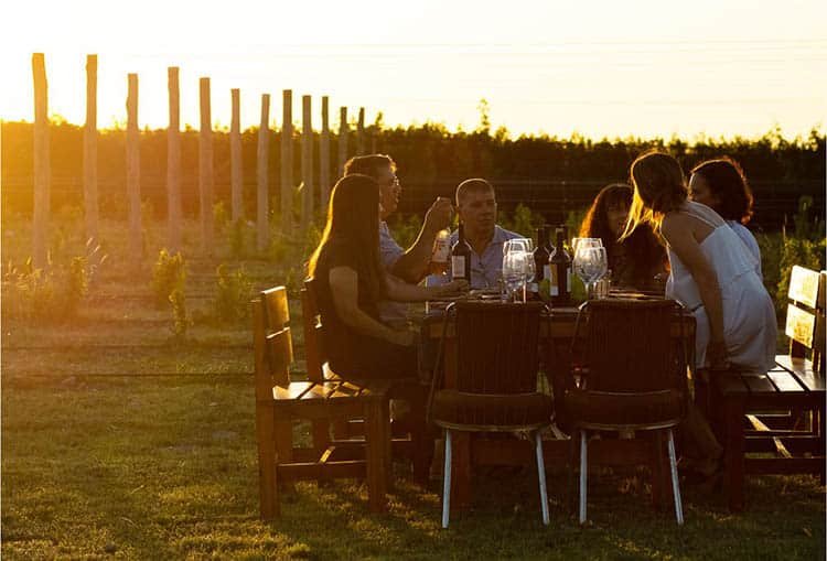 Degustación en Bodega Del Gredal