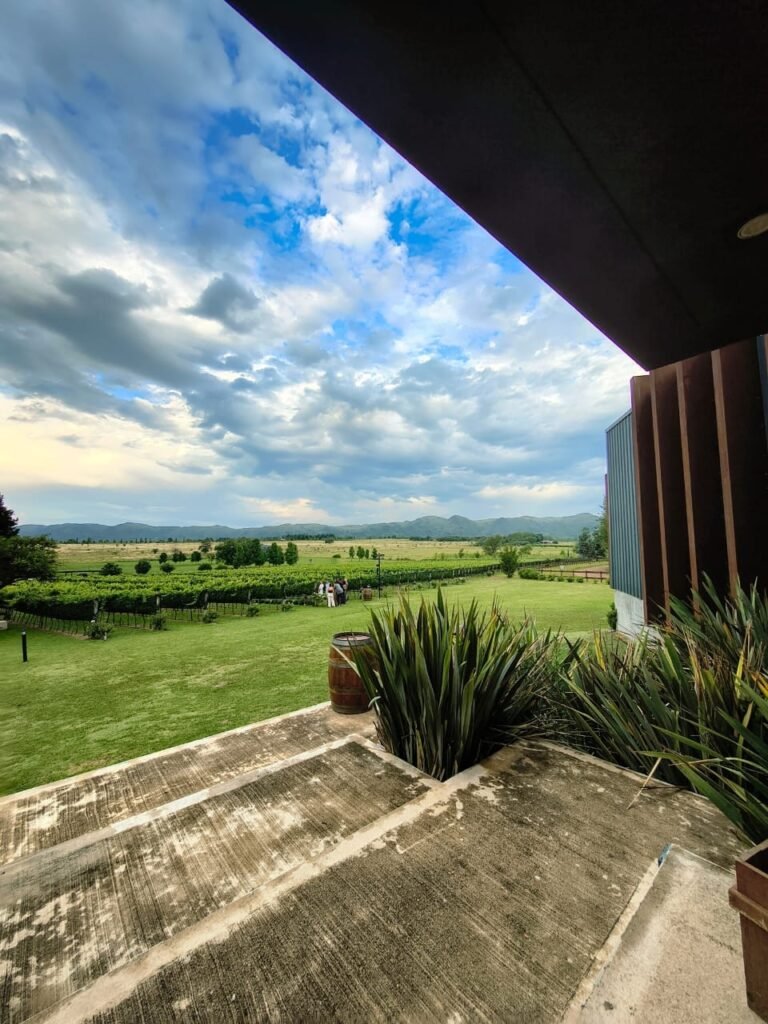 Historia de Bodega Vista Grande