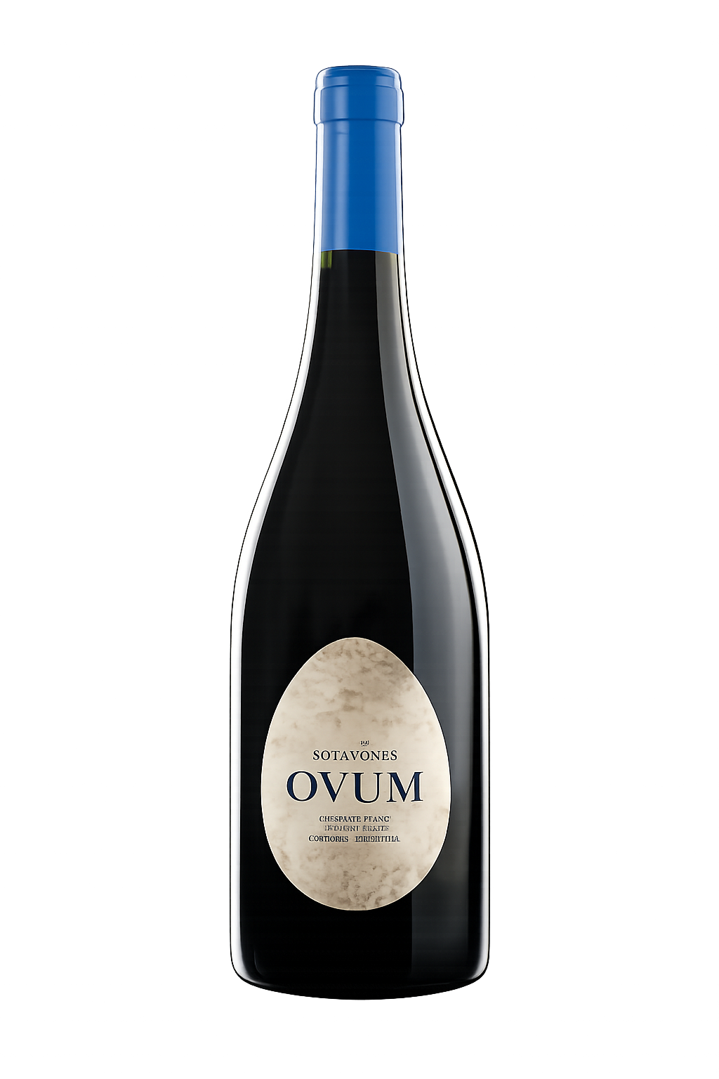 Cabernet Franc Terra Camiare