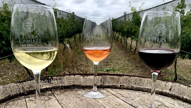 Degustaciones en Terra Camiare