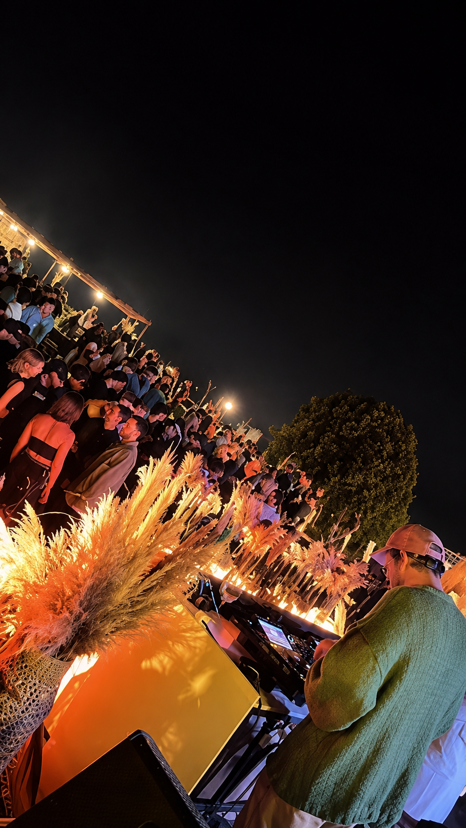 Sunsets y música en Viñedo Nébula