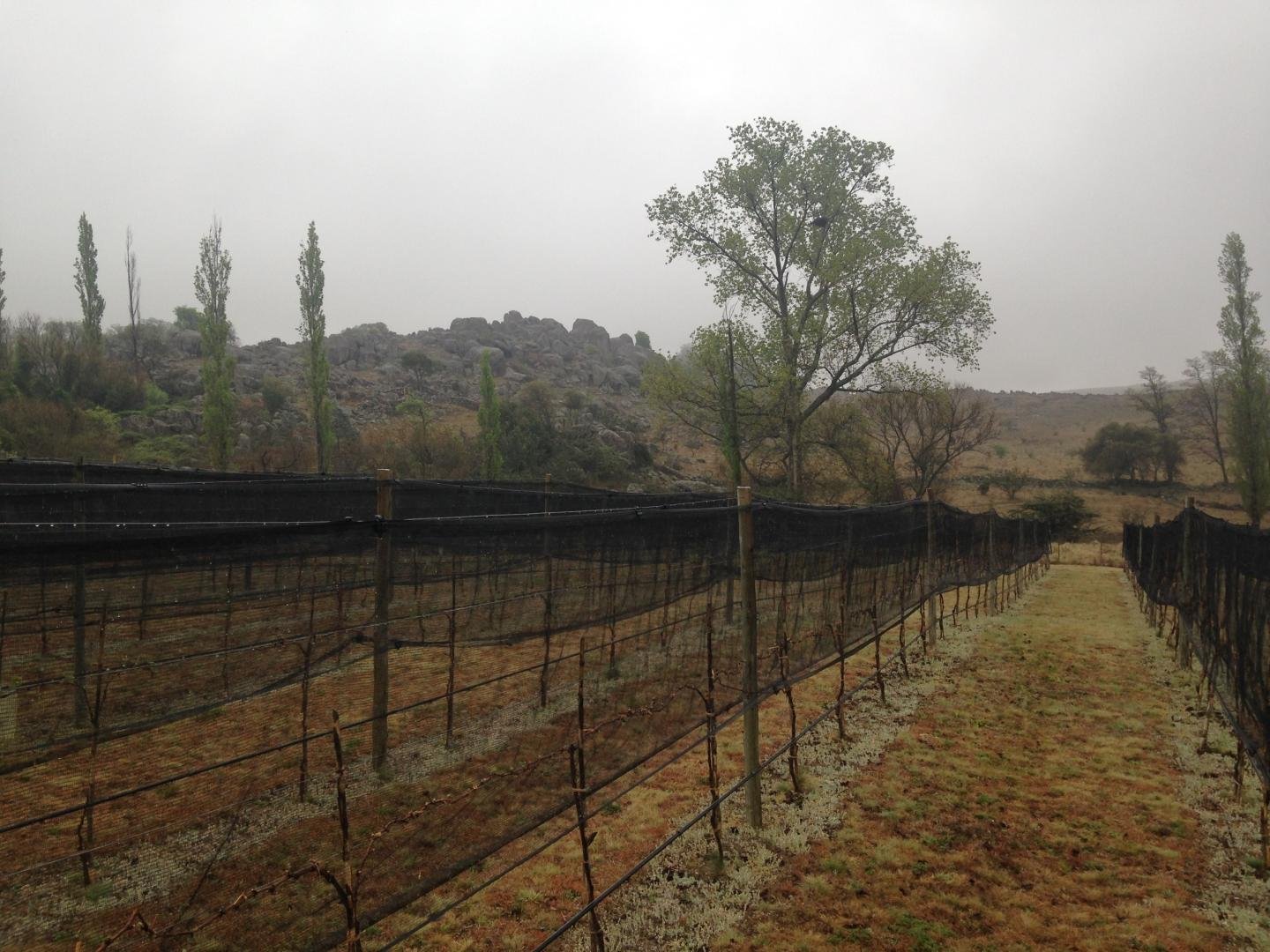 Finca Las Acacias