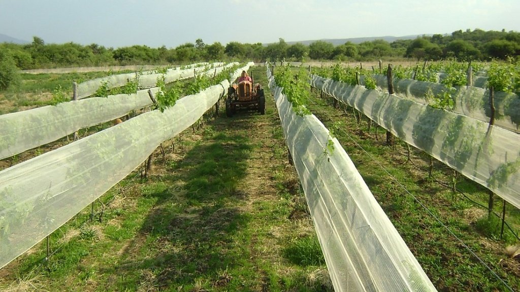 Finca Las Corzuelas