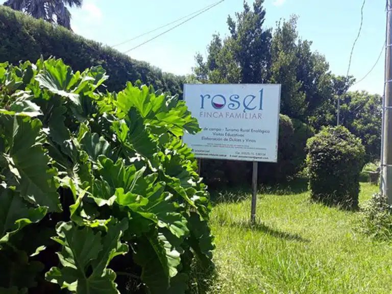 Bodega Rosel Finca Familiar