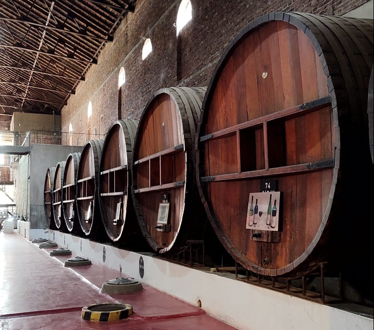 Vinos Artesanales Don Fabio