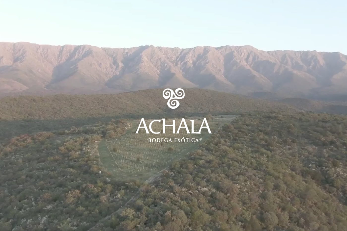 Bodega Achala