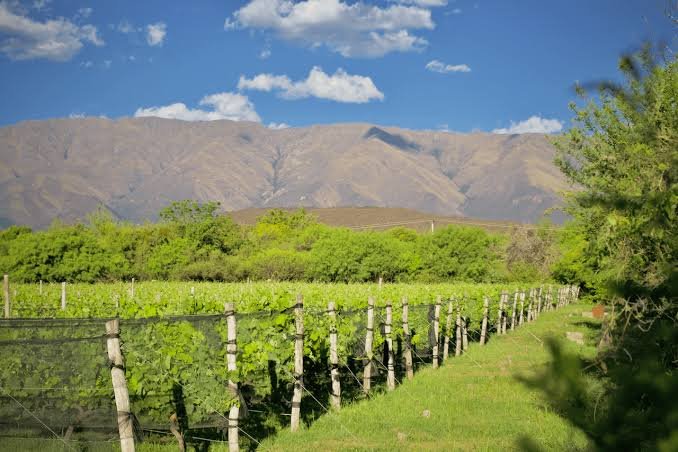 Bodega Kirton