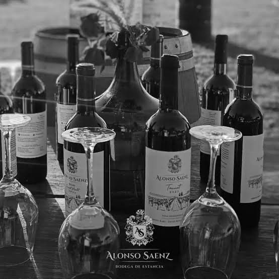 Degustación de vinos en Bodega Alonso Sáenz