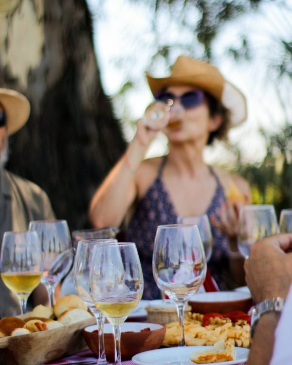 Degustación de vinos en Altos del Palmar
