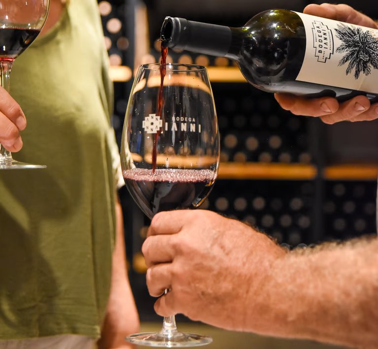 Elaboración artesanal de vinos en Bodega Ianni