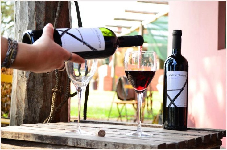 Degustación de vinos Vulliez Sermet