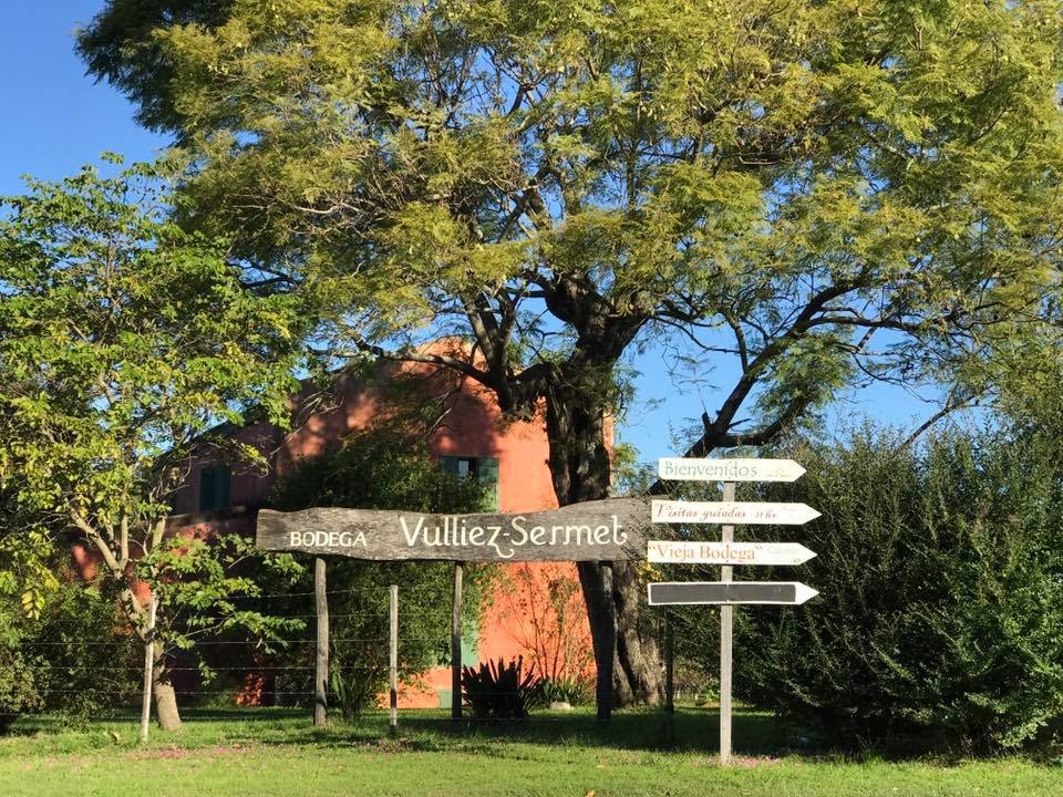 Visita guiada en Bodega Vulliez Sermet
