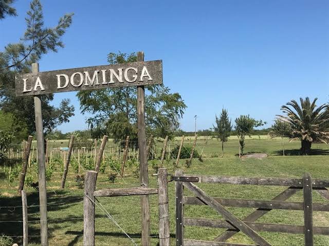 Bodega La Dominga