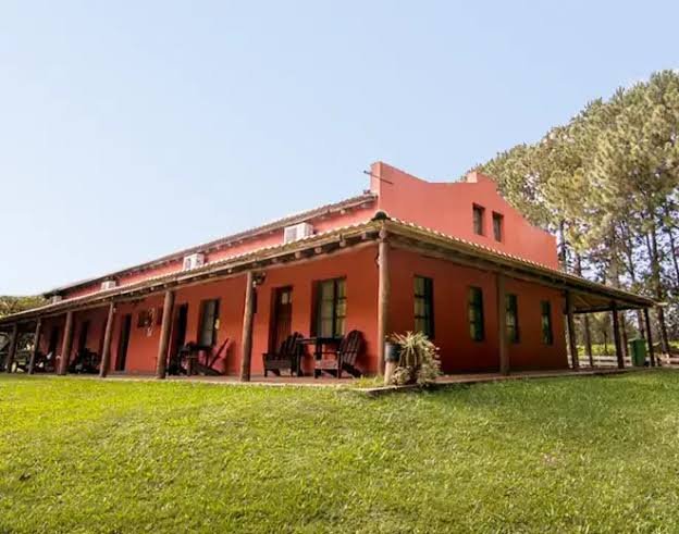 Viñedo Terruño del Palmar