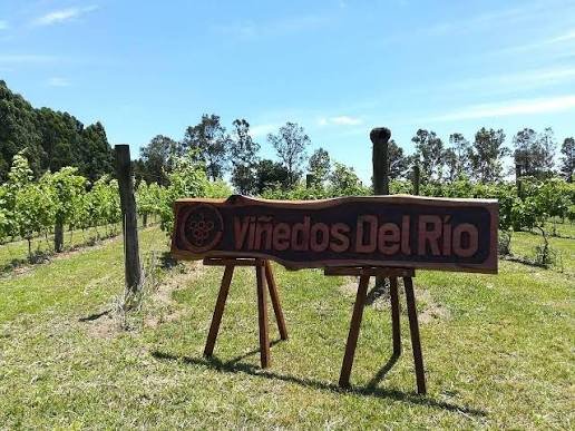 Viñedos del Río
