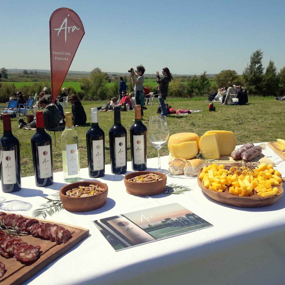 Degustación de vinos Ára