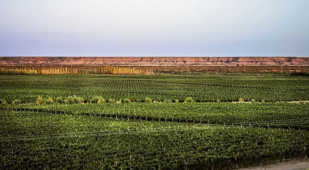 Bodega del Desierto