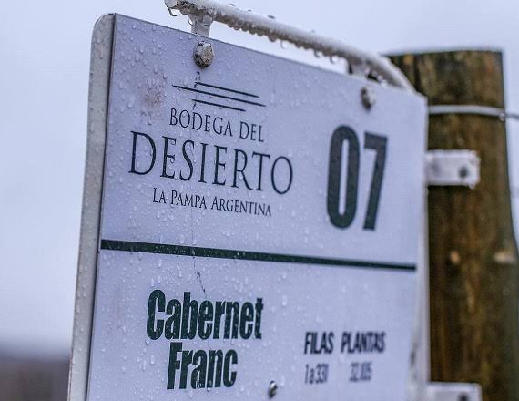 Historia de Bodega del Desierto