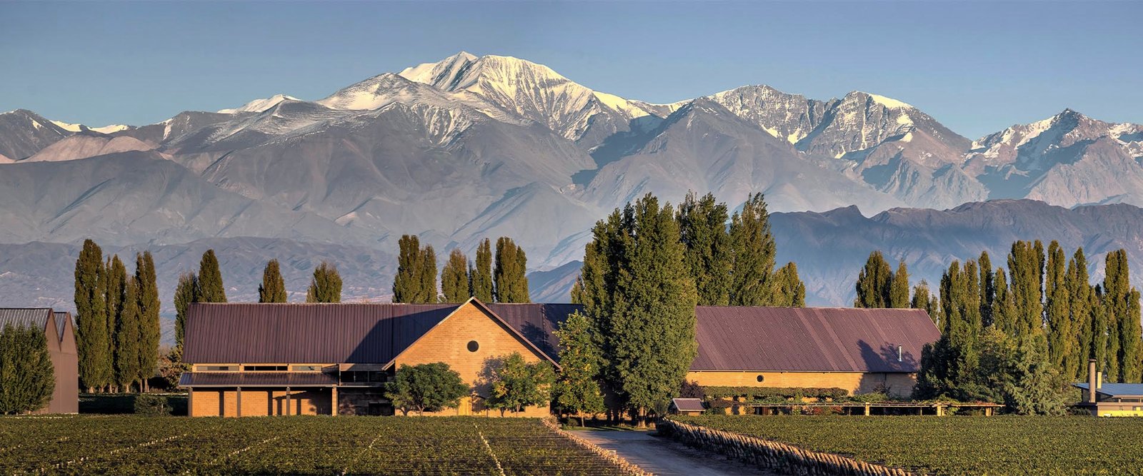 Susana Balbo Wines 