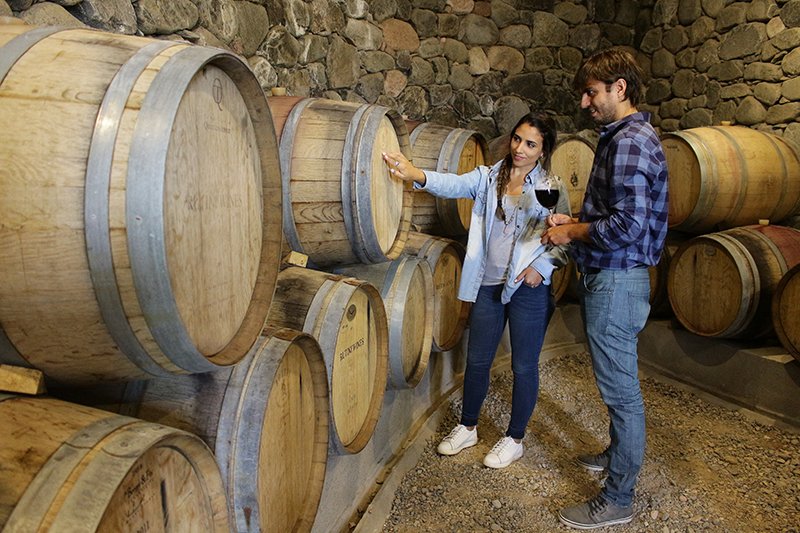 Rutas del vino