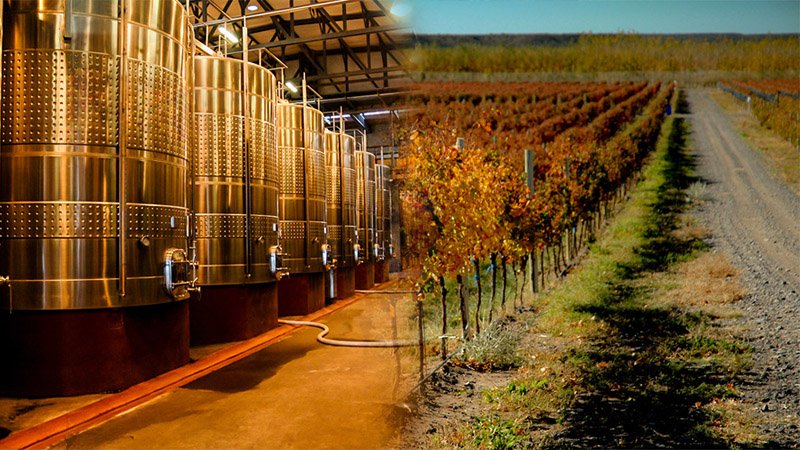 Elaboración en Bodega Del Fin del Mundo