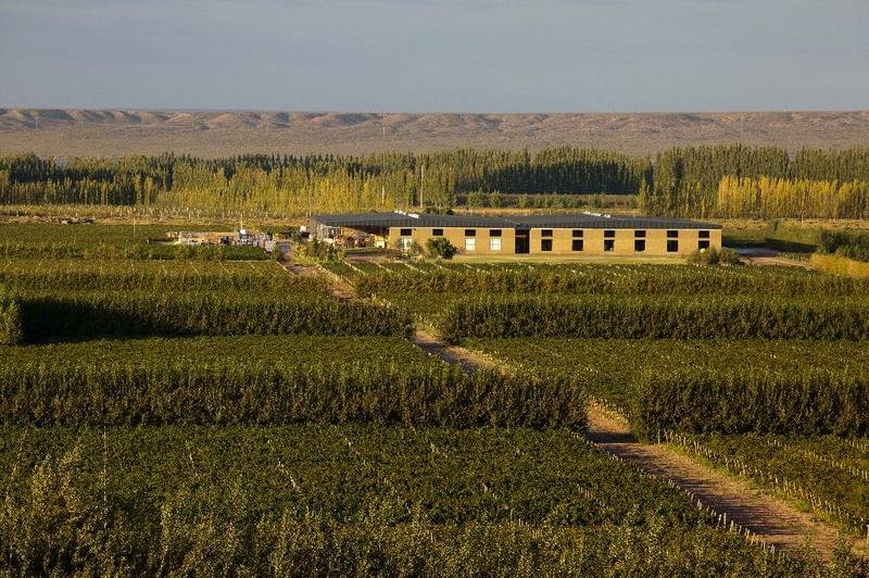 Historia de Bodega Del Fin del Mundo