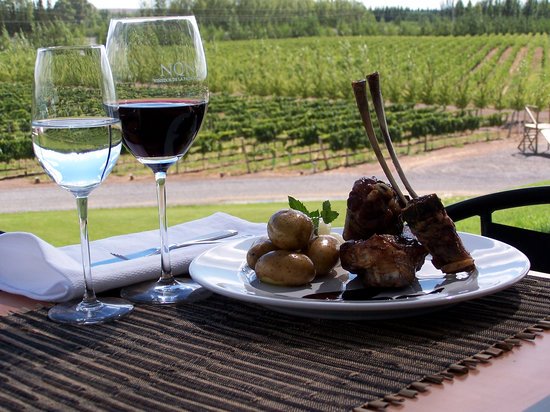 Degustación en Bodega Malma