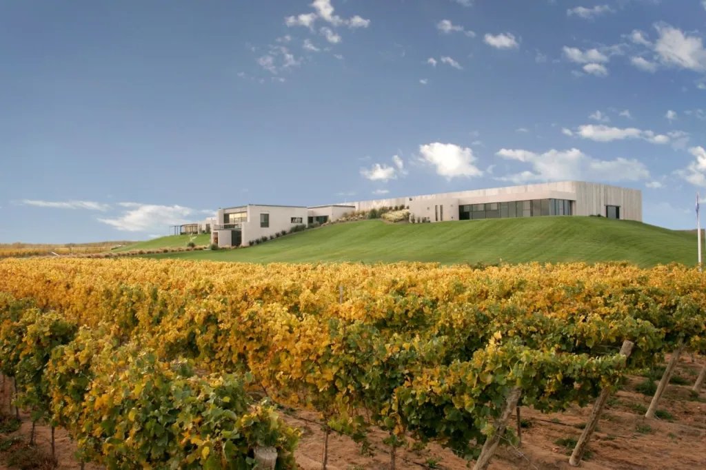 Viñedos de Bodega Malma