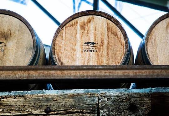 Elaboración en Bodega Patritti