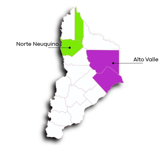 Mapa vitivinícola de Neuquén