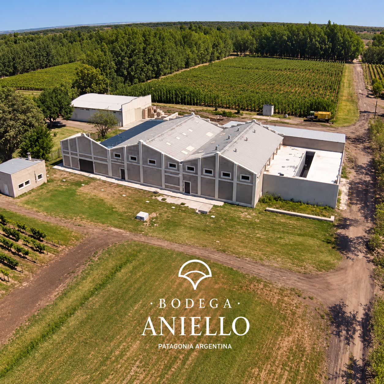 Bodega Aniello