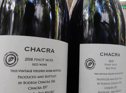 Elaboración natural en Bodega Chacra