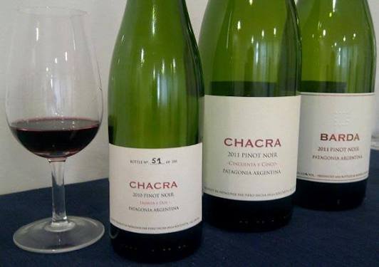Elaboración natural en Bodega Chacra